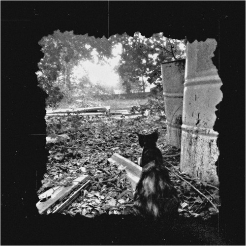 REVIVAL [demo]