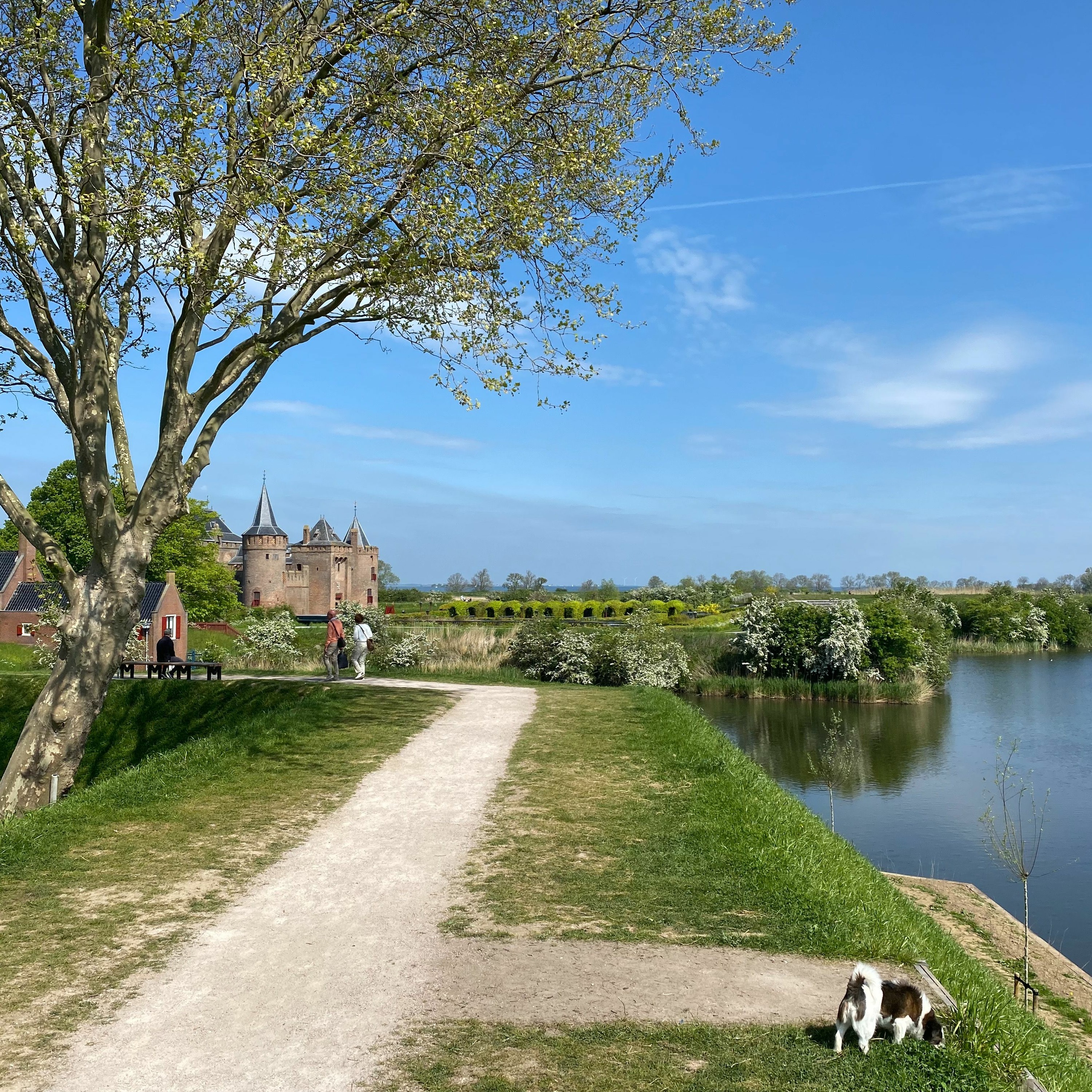 Roel Funcken