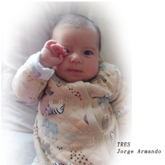 Un Te Quiero - Jorge Armando
