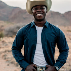 Cheeno-HEROS (Wallflowers ver) cover