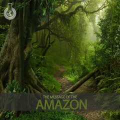 The Message of the Amazon -Sounds Of The Amazon-