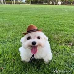 челендж / дисс антон гу, енибеби