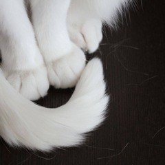 arou_und (prod. nelloprod)