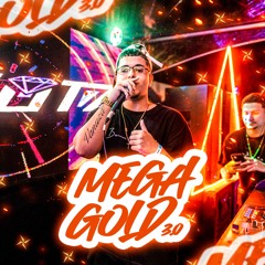 MEGA GOLD 3.0 NO PIQUE DO BEAT [DJ PEROTZ]