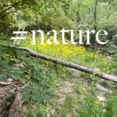 #nature (nineslay)