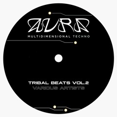 PREMIERE: Pres - Hyper Realism [AURAVA04]