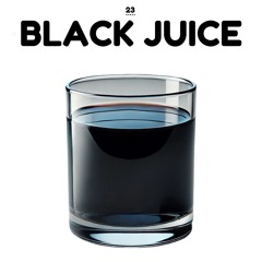 Mix #23 w/ Black Juice (Downtempo / Melodic House)