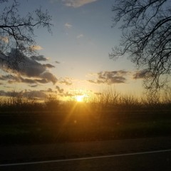 dark shade in my brain