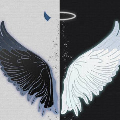 beautiful feather(prod.HANEDA.H4PP¥)
