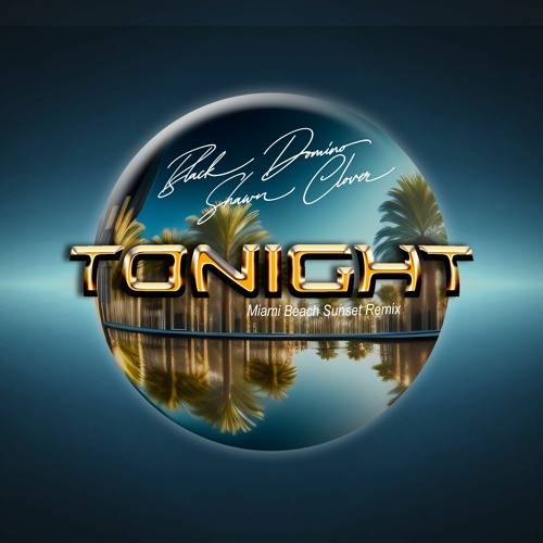Tonight feat. Shawn Clover (Miami Beach Sunset Remix)[Audio Snippet]