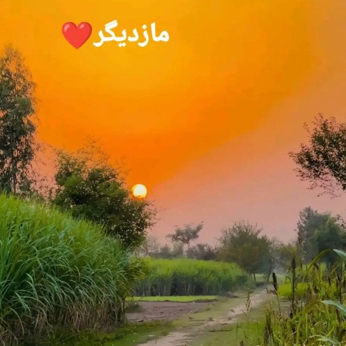 faisal faiz poshto ghazal .,speni speni ma waya ka jwand kawe,,