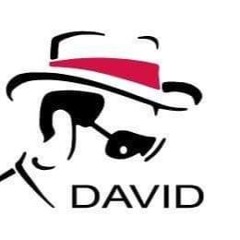 DAVIDSOHOO COLLETION SONG