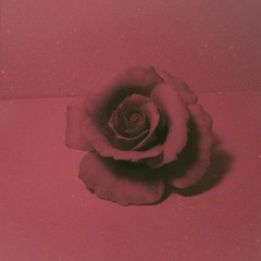 Keep My Roses Red