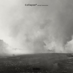 380 / Collapse³ / Indrajit Samarajiva