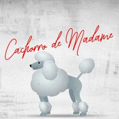 Mc Kako - Cachorro De Madame ( Slowed + Reverb )