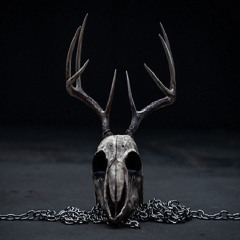 VOYD - ID (VOYD Returns DEMO)