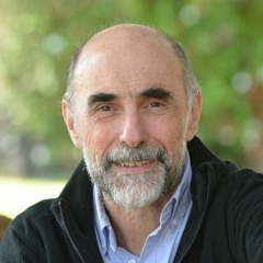 UNIVERSIDAD EN ALERTA - Jorge Aliaga - UNAHUR/CONICET