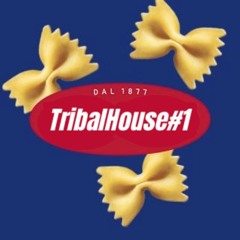 Tribal House #1