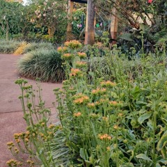 03.07.2022 - DOMINGO - CAP. V - BEM AVENTURADOS OS AFLITOS - Causas Atuais das Aflições