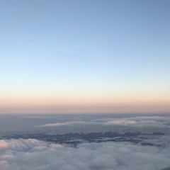 haley joelle - two places at once (phamkaa cover)