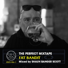 SBS Perfect Niche Mixtape 2025 Mix 1 FAT BANDIT