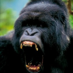 4lawless & Ayrton Stellar - Batman