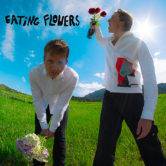 2Hollis - Light (Eating Flowers Remix) [FREE DL]