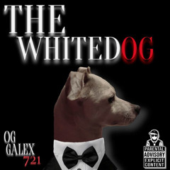 YNM ( Young N*gga Mexican )