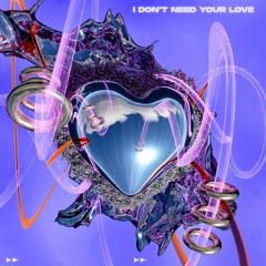 I Don't Need Your Love