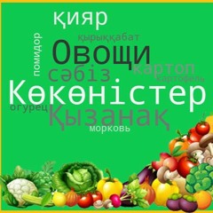 Есть ли хорошие преподаватели казахского в Казахстане