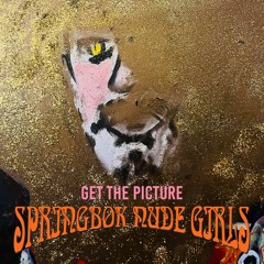 Springbok Nude Girls - Get The Picture (Radio Edit)