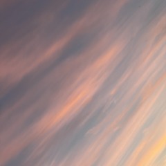 Perspectives | Version 1.0