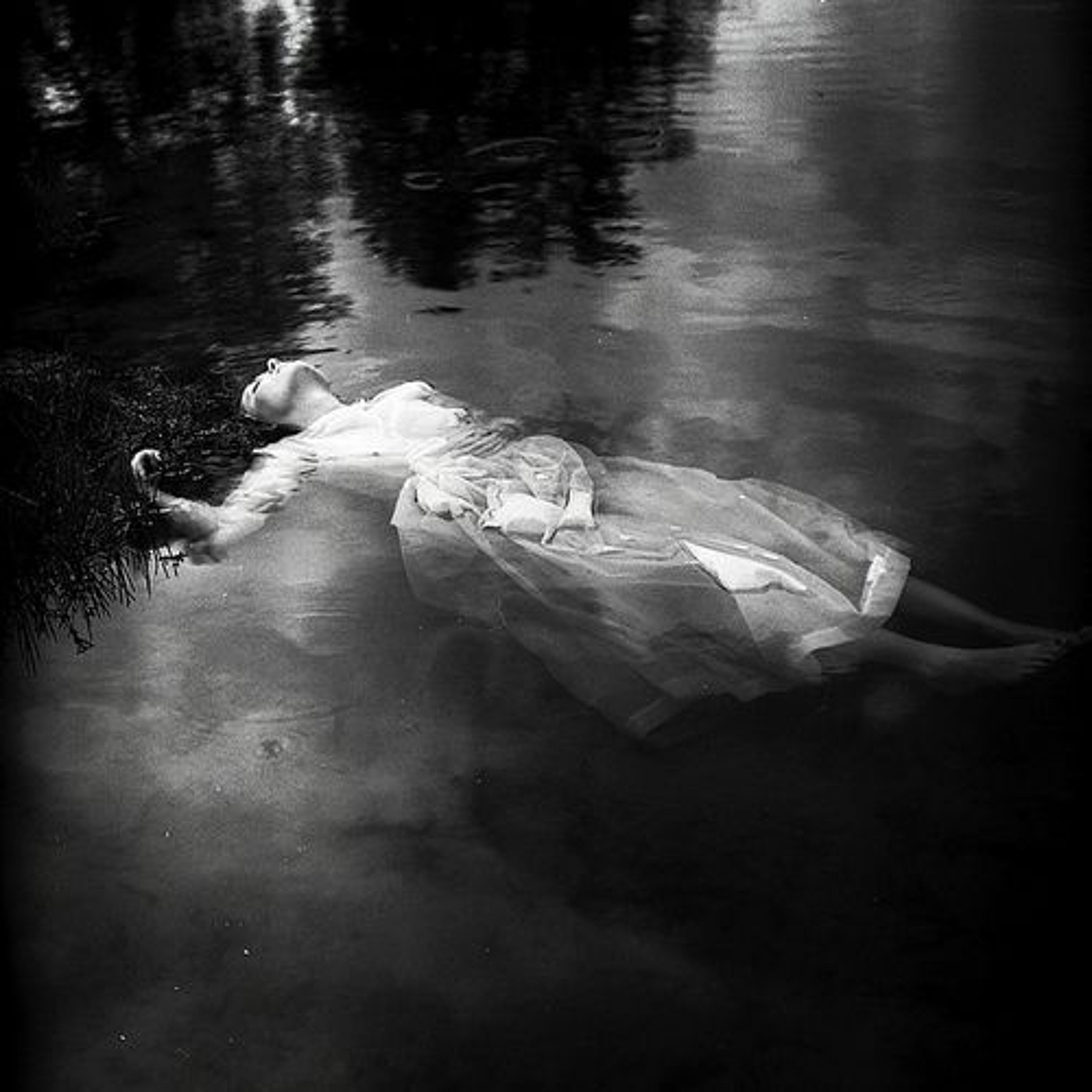 Mathew Stegner