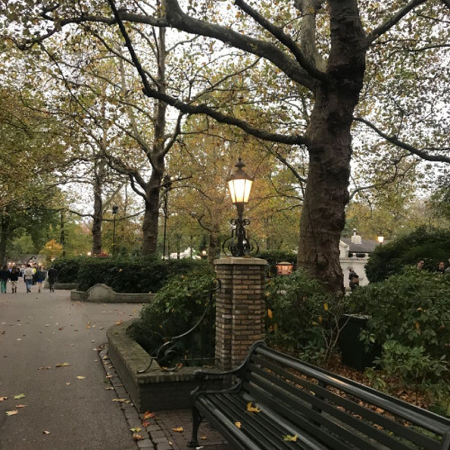 ynot - oh no prod ynot