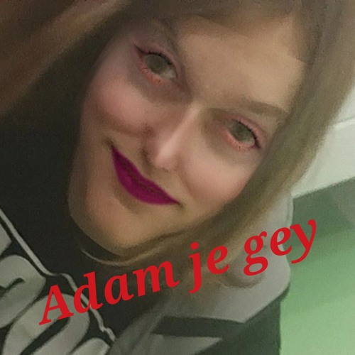 Adam je gey