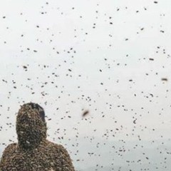 Beekeeper