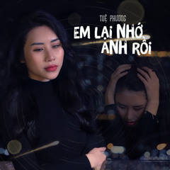 Em Lại Nhớ Anh Rồi (Remix)