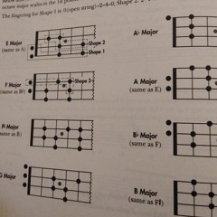 bass & acoustic nov 6