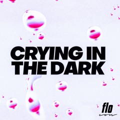 flocon - Crying In The Dark