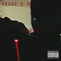 ziggy x duo ( skits )