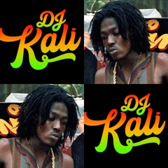 DJ Kali's Tribute to Junior Reid (100% Vinyl)