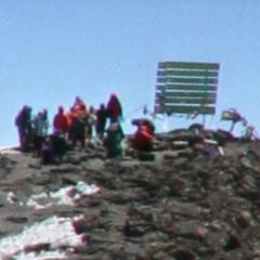 June 2024 Samples (prod. sting1) (ft. exodus2x & dum1n1c)