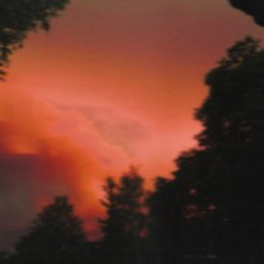 Anja Tomschitz - ROSA Greifswald / 20-04-2024 / Opening