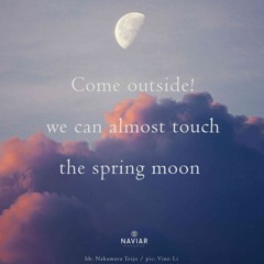 haiku #535: Come outside! / we can almost touch / the spring moon
