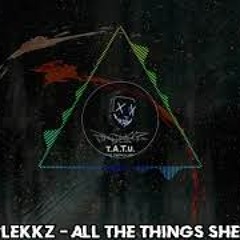 All The Things She Said [HARDTEKK]