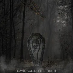 David Valles - The Truth (remix)