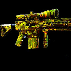 SR25