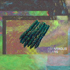 ASPARAGUS TEARS