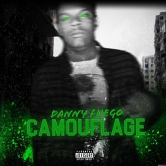 Camoflauge(Audio)