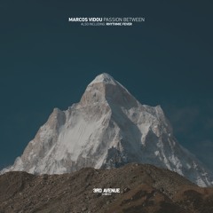 Marcos Vidou - Rhythmic Fever [3rd Avenue]